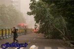 اخطار دوباره هواشناسی راجع به رگبار و رعد و برق و وزش باد شدید لحظهای و سیلابیشدن معابر